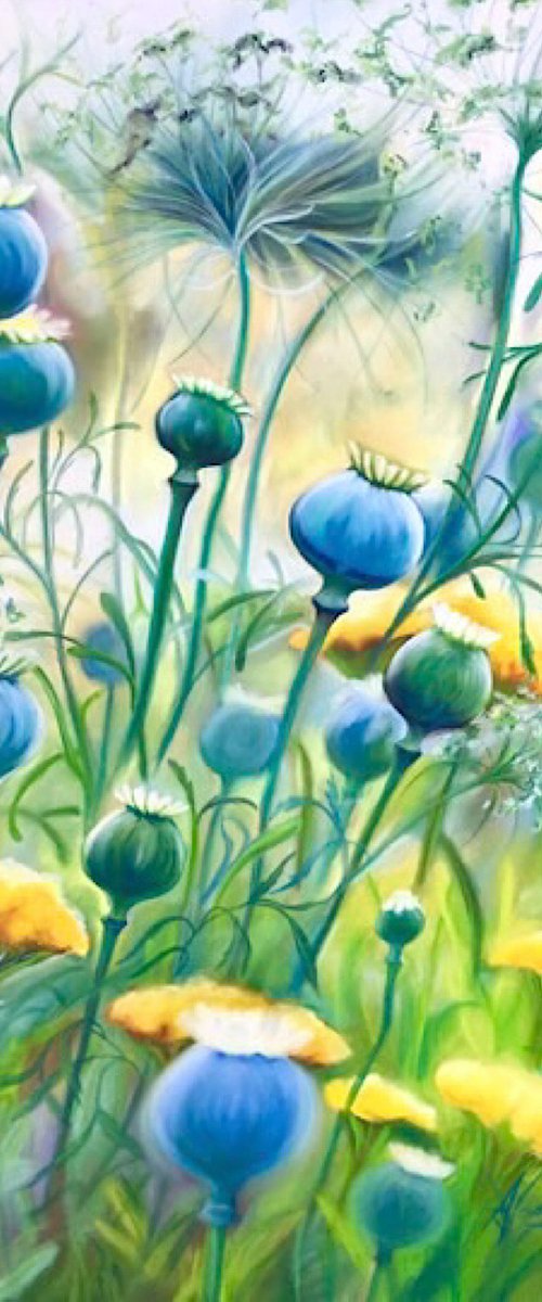 Impermanence- poppy pod meadow by Anita Nowinska