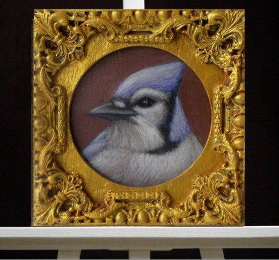 Blue Jay bird painting framed