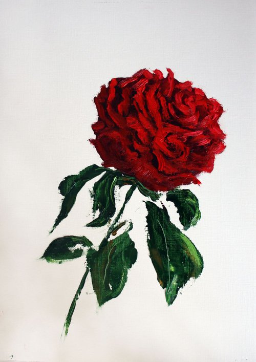 Rose Red /  ORIGINAL PAINTING by Salana Art Gallery