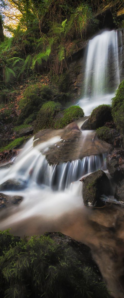 Luxulyan Valley waterfall by Paul Nash