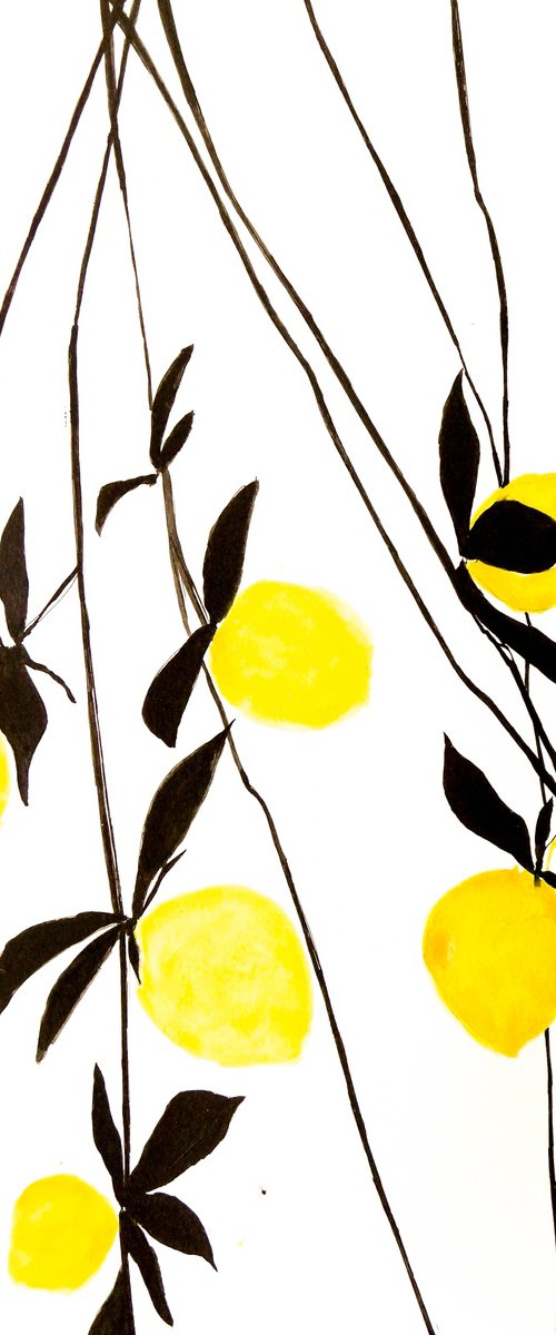 Lemons by Nadia Moniatis