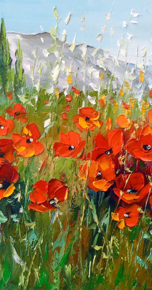 Field of poppies near the mountains by Olha Darchuk