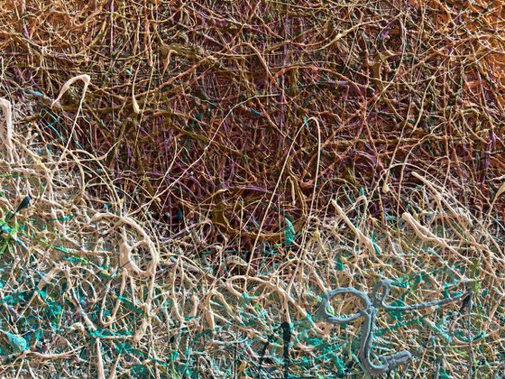 Waves of Tender Light