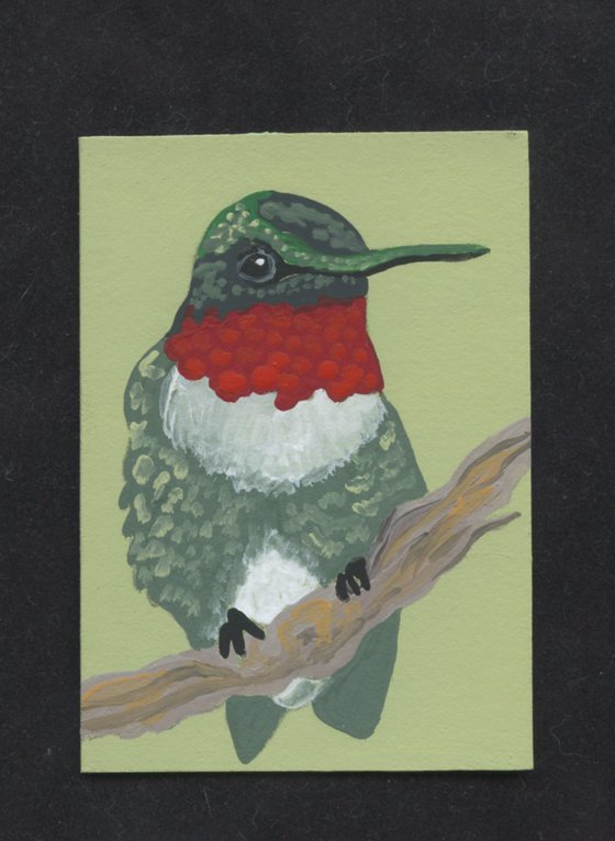 ACEO ATC Original Miniature Painting Ruby Throat Hummingbird Bird Art-Carla Smale
