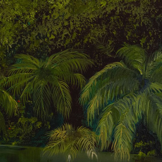 Tropical Jungle