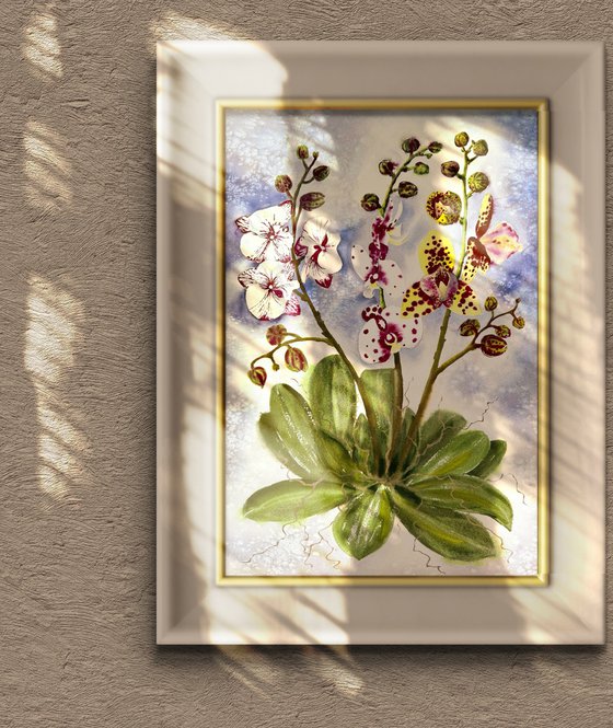 White Pink Bordo Orchid