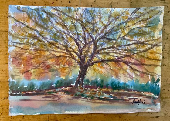 The tree by Stourhead lake