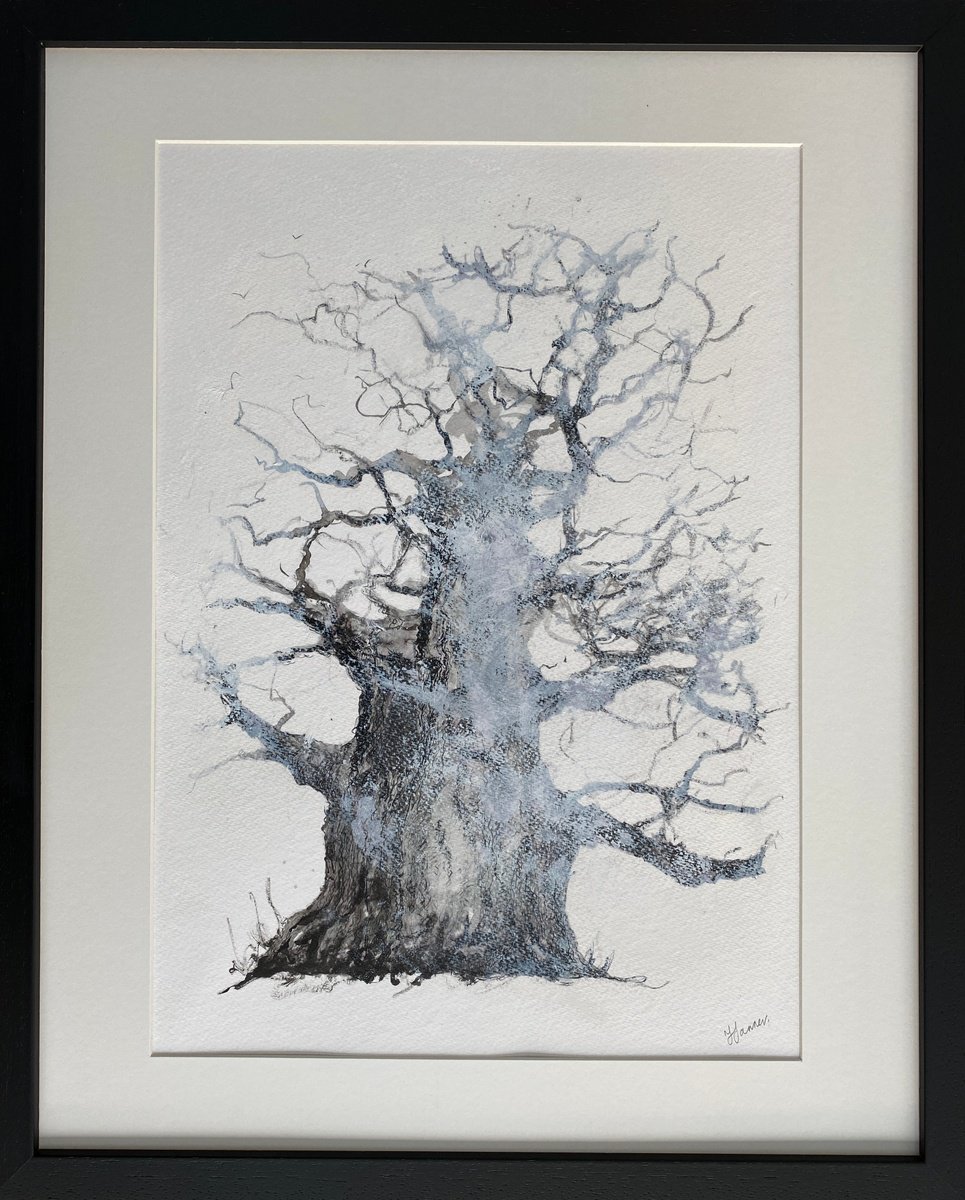 Misty oak tree framed by Teresa Tanner