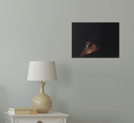 horse eye