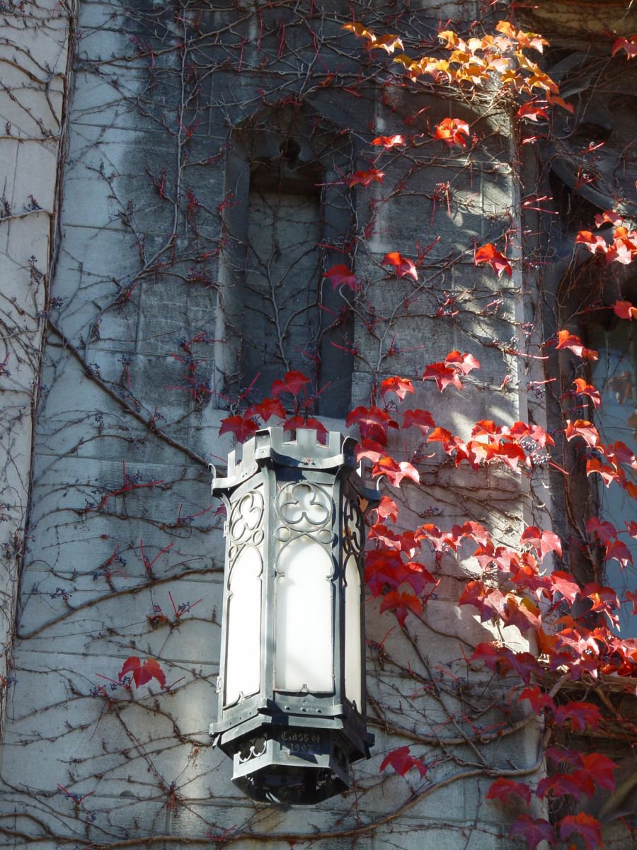 Cobb Hall Lamp, University Of Chicago by Leon Sarantos