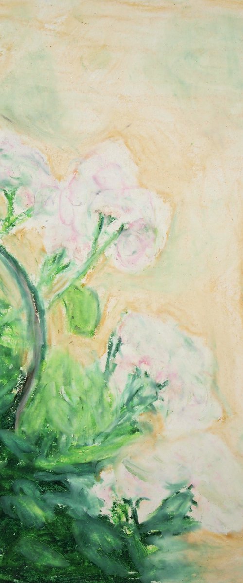 Geraniums - sketch by Kitty  Cooper