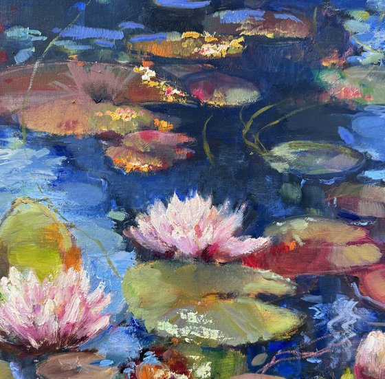 Water lilies