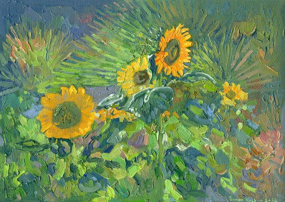 Sunflowers. Turunc