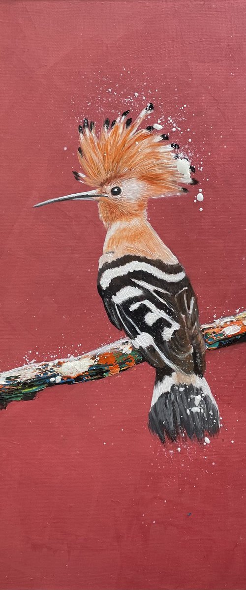 Hoopoe by Laure Bury