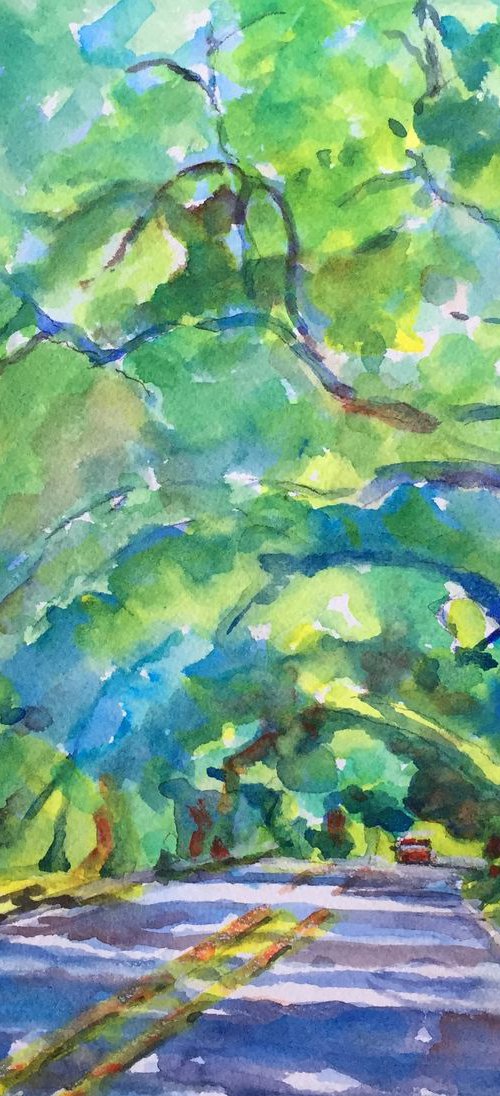 Road to St Johns Island by Bronwen Jones