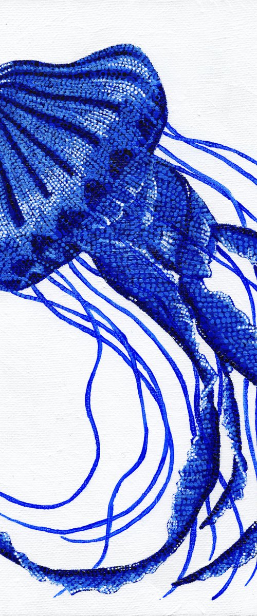 Blue Compass Jellyfish by Kelsey Emblow