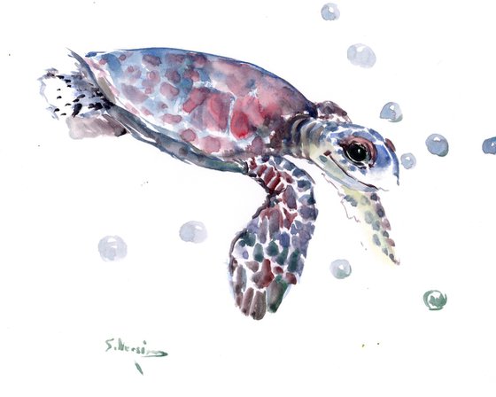 Sea Turtle