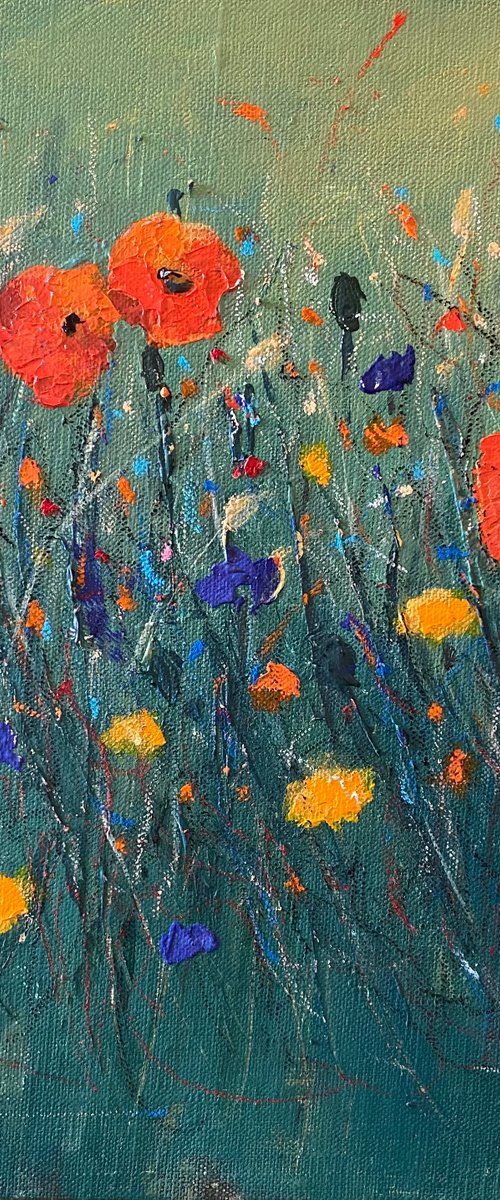 Poppies in the moonlight abstract by Clare Hoath