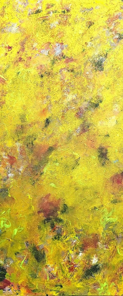 Garden in the Brain by Marian Gorin