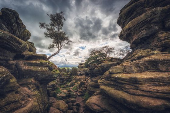 Brimham rocks in the Yorkshire dales England UK