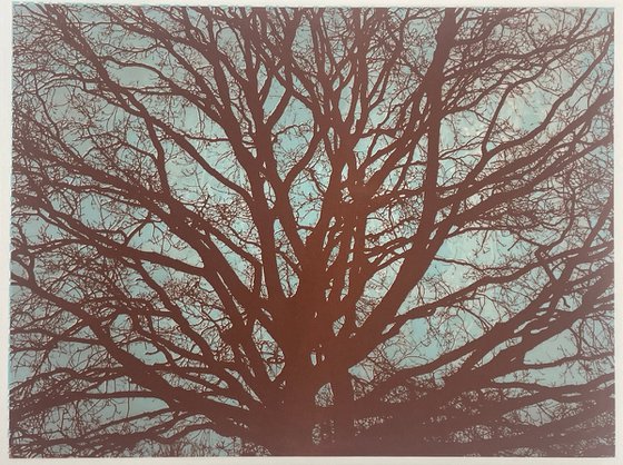 Branching Out