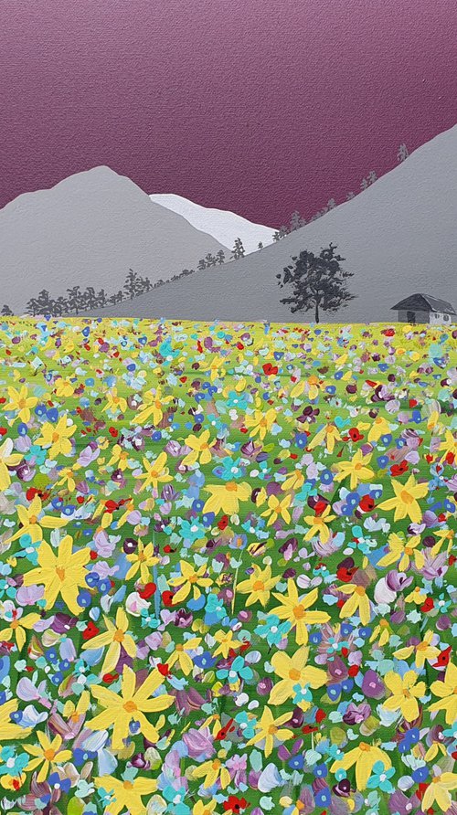 Meadow under High Hartsop Dodd, The Lake District by Sam Martin