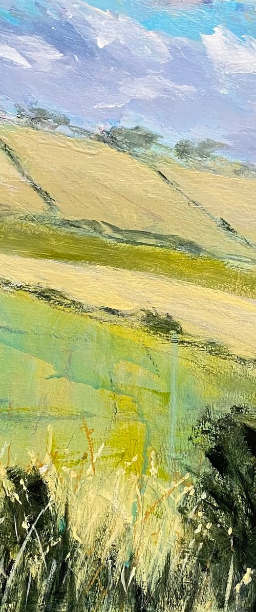 Hot Summer Fields by Nikki Wheeler