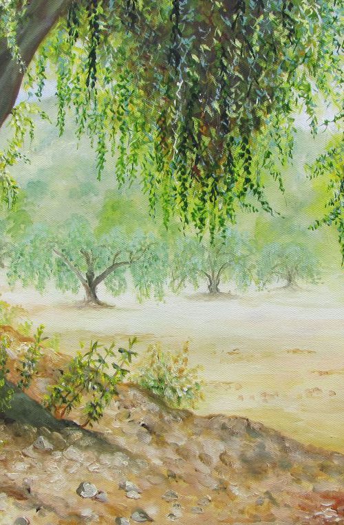 Under the Olive Tree by Christine Gaut