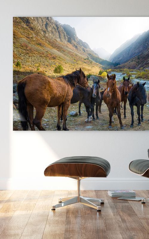 Wild Horses of Kyrgyzstan by Serge Horta