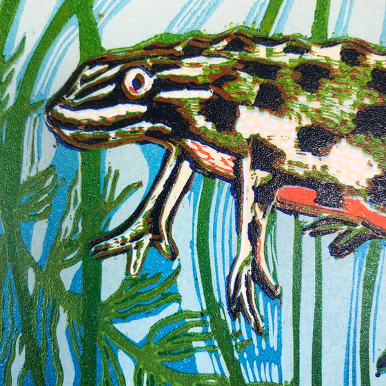 Common Newts