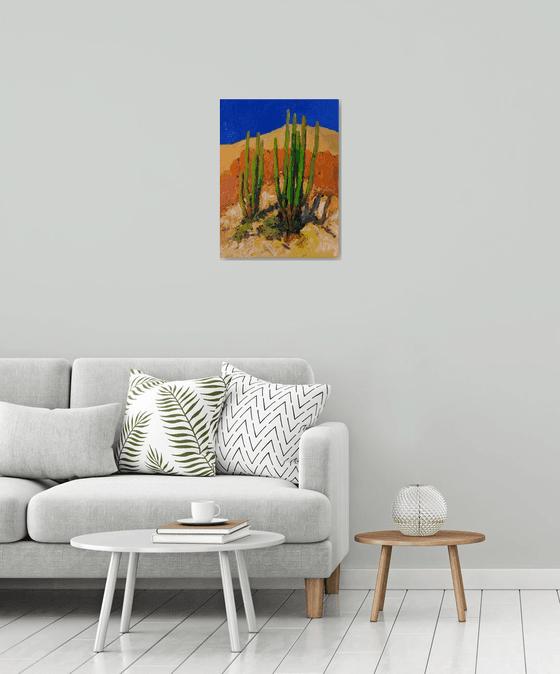 Bright Summer Day. Cactuses in the Desert.