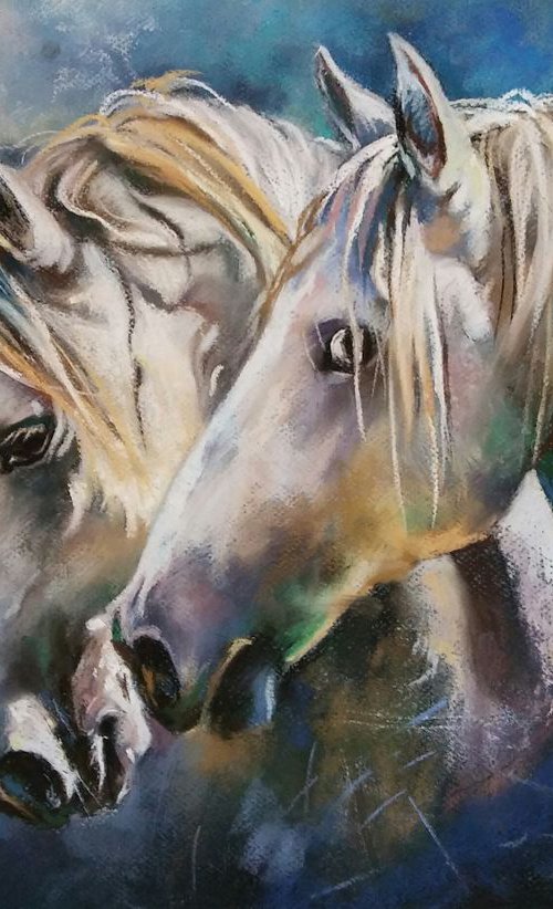 Two white horses by Magdalena Palega