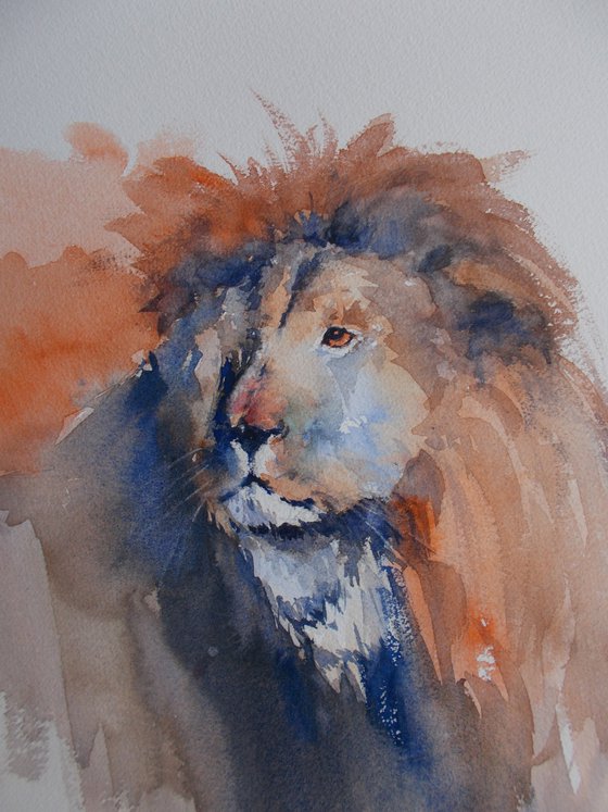 lion