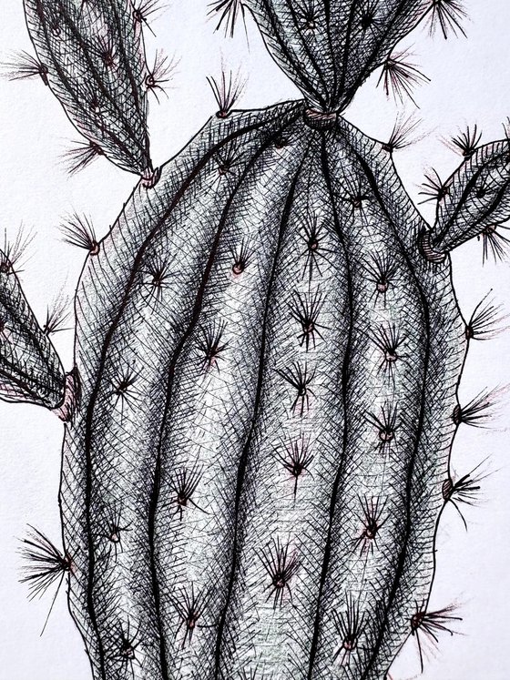 CACTUS WITH PINK FLOWERS