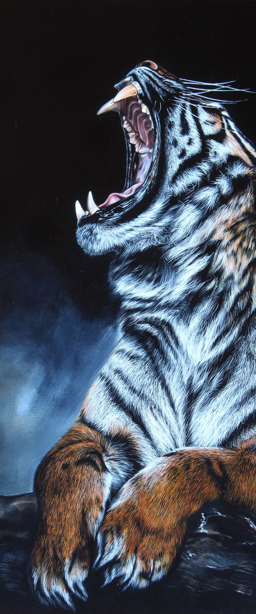 Tiger by Marie Madej