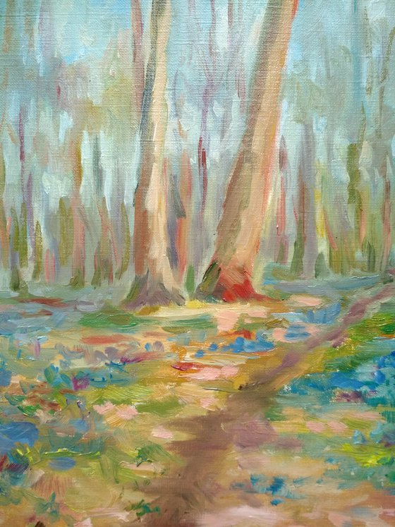 Spring forest landscape