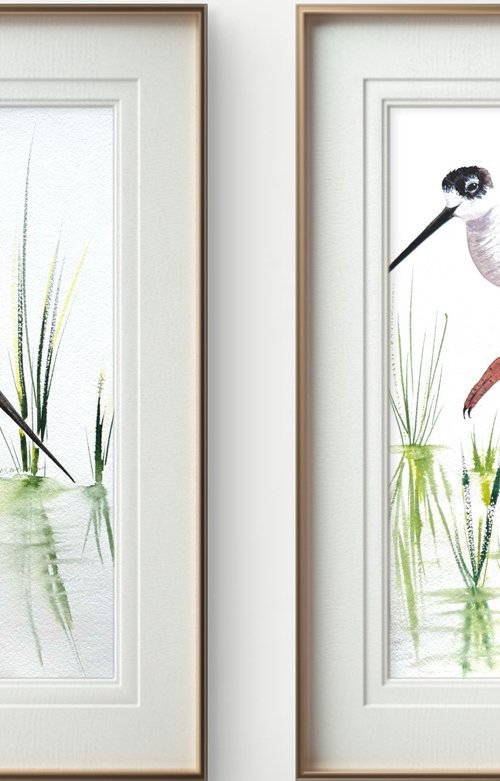 A pair of Black-necked stilt by Yuliia Sharapova