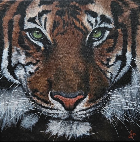 Painting 'Eye of the tiger'