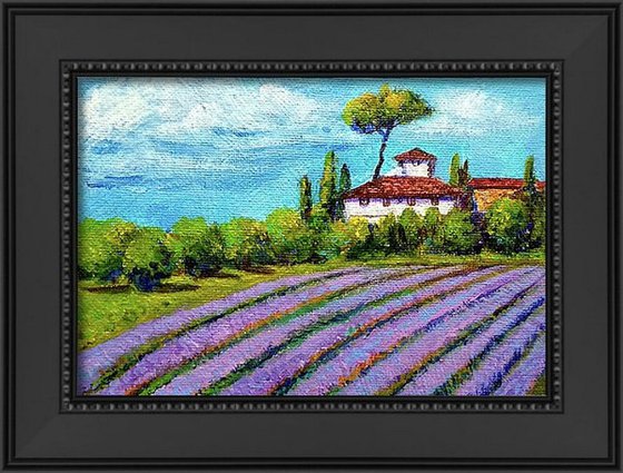 Miniature landscape of Lavender fields