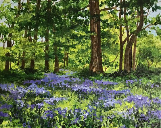 Woodland Bluebells