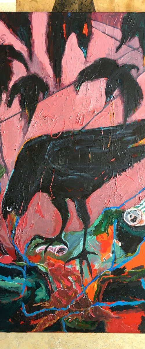 A crow story by Deb Dumbrell
