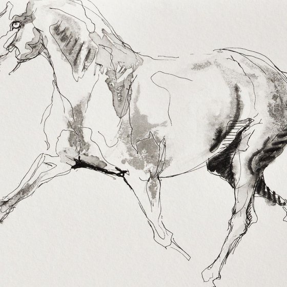 Equine Nude 106