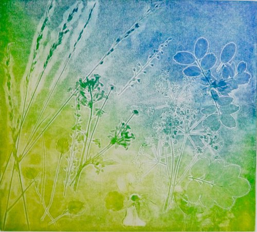 Impressions from my garden by Gill Bedson
