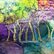 Fairy Woods I by Maxine Anne  Martin