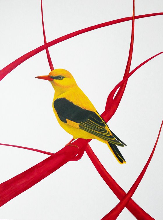 2 sisters collection: Golden oriole 2