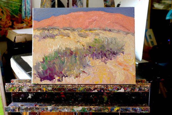 Desert. Midday