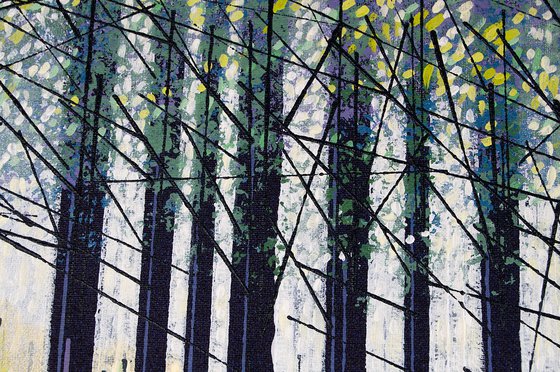 Late Autumn Forest Path