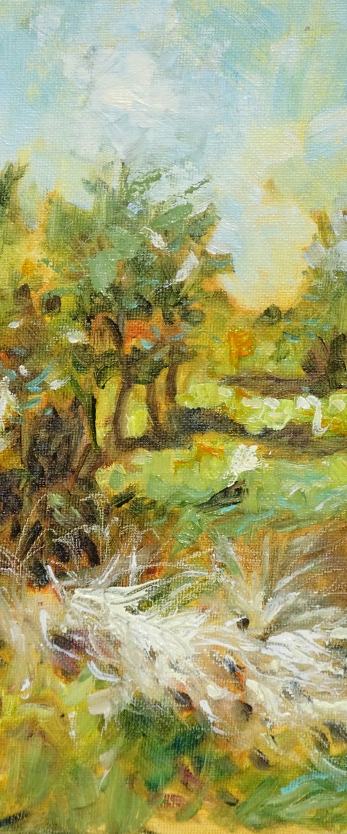 Tree Landscape - The National Forest by Mary Kemp