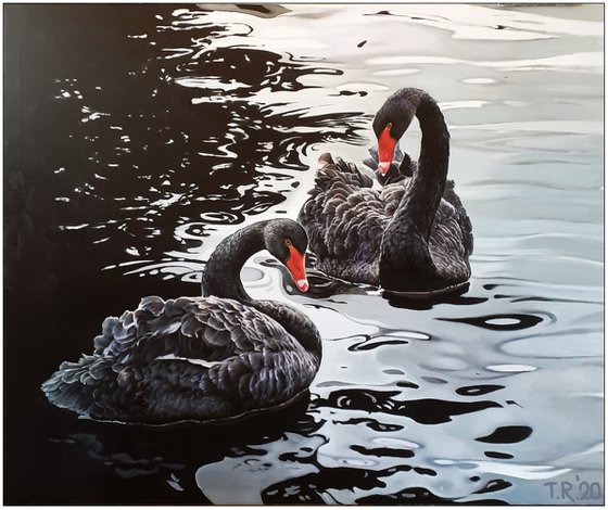 BLACK SWANS