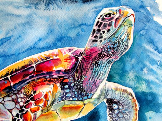 Turtle